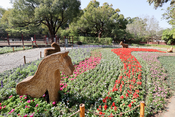 台中后里|台中花博后里馬場園區|花舞館|馬術兢技場|故宮花蝶館|花馬樂園 台中后里|台中花博后里馬場園區|花舞館|馬術兢技場|故宮花蝶館|花馬樂園