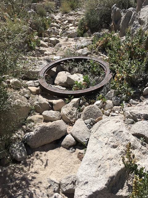 An old Cast Iron flyweel from the Betty Lee Mine Cast iron flywheel lies in the trail on the way to the Betty Lee Mine