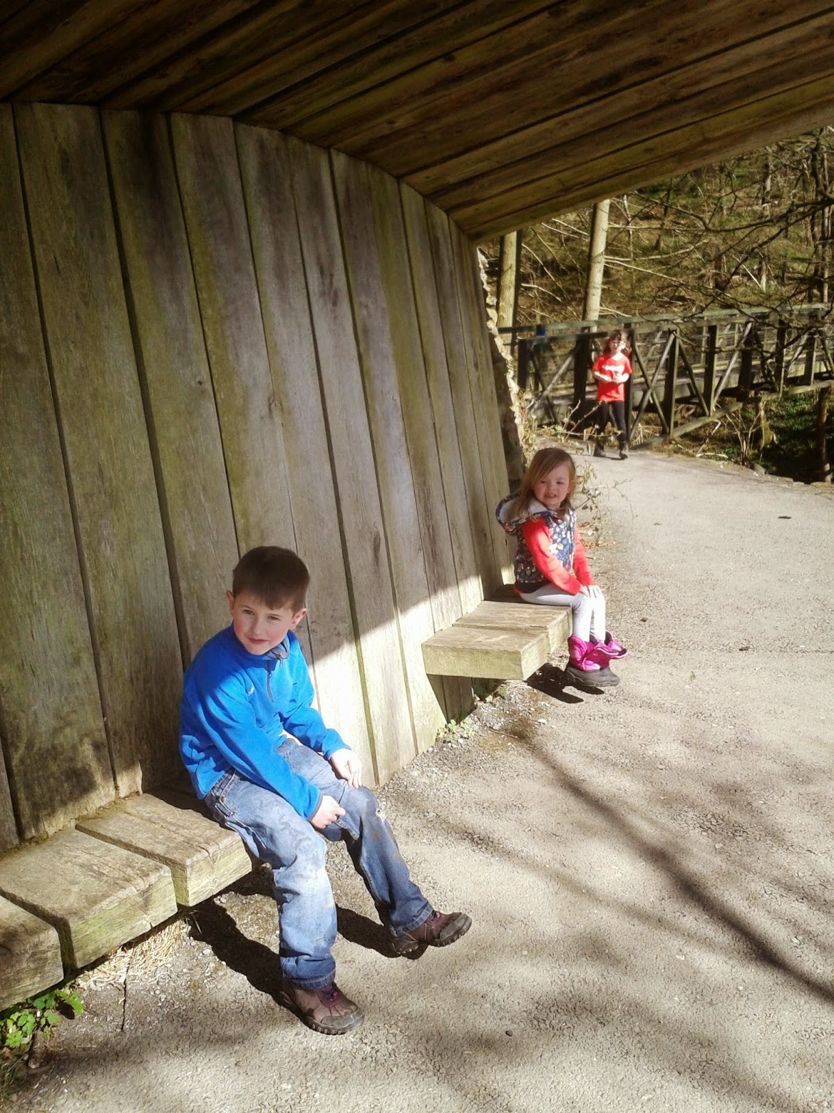 Grizedale Forest Gruffalo trail, having a rest. 