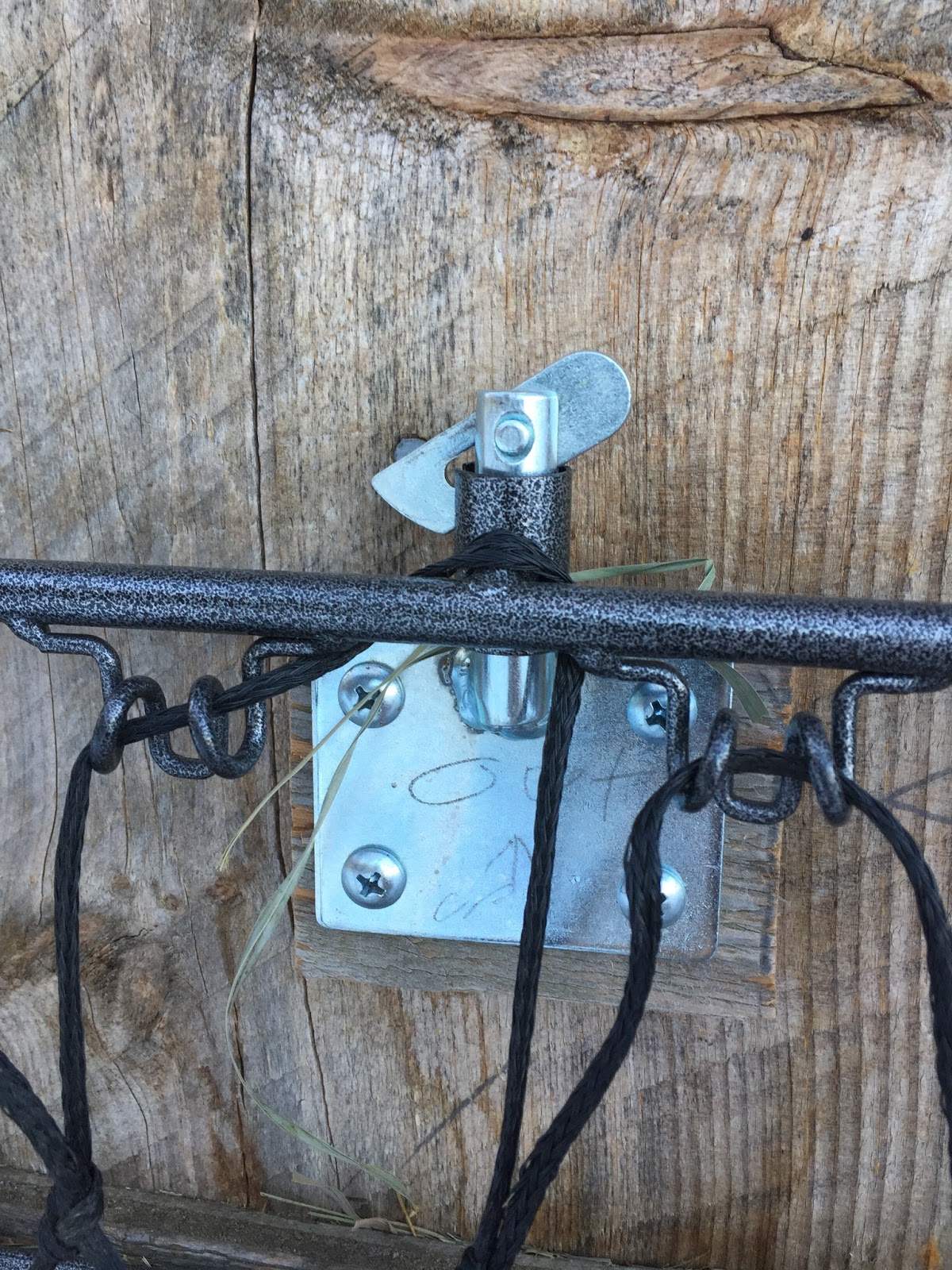 Basketball Hoop Hay Hoops For Horses Horse Hay Net Tough Original