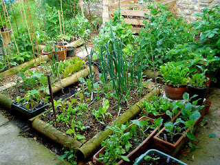 Organic Home Garden About, Benefits and Tips Organic Home Garden About, Benefits and Tips