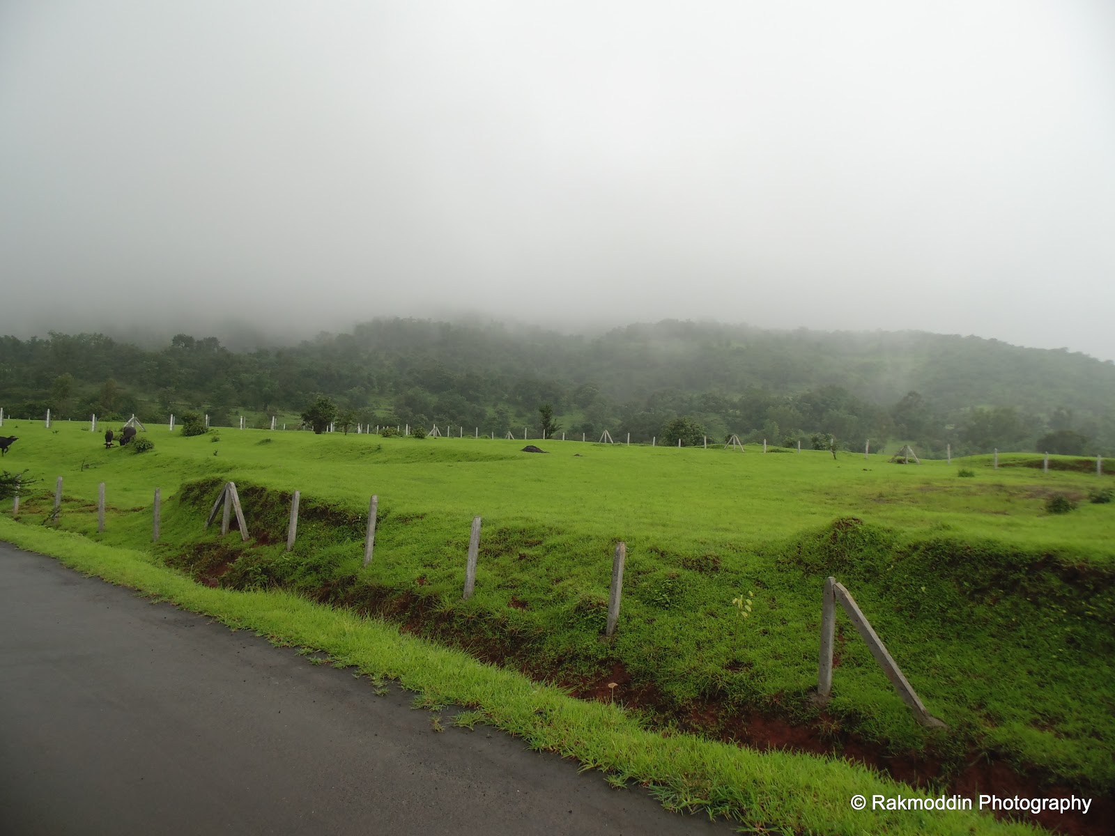 Monsoon bike ride to Madhe Ghat via torna fort