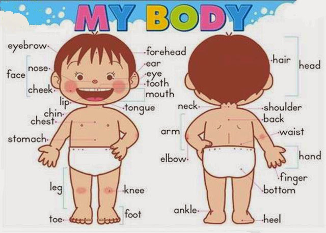Materi Bahasa Inggris Kelas 1: Part of Body Materi Bahasa Inggris Kelas 1: Part of Body