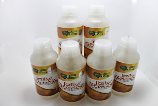 Jelly Gamat Qnc Jelly Gamat Qnc