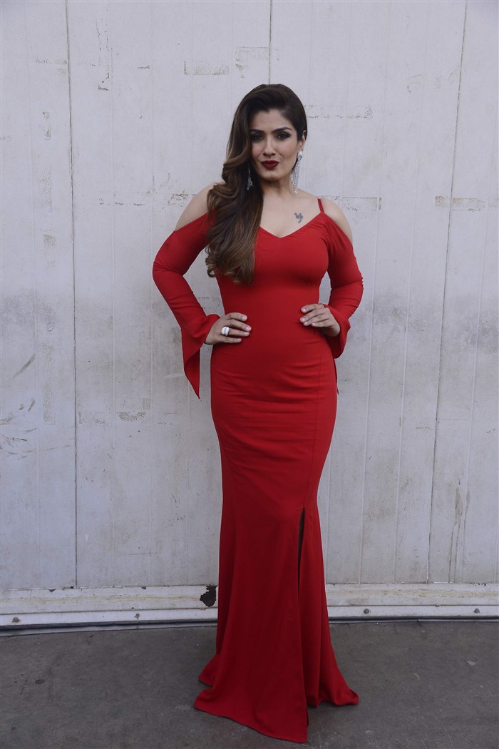 Actress Raveena Tandon Hot Photos In Red Dress