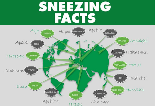 Image: Sneezing Facts