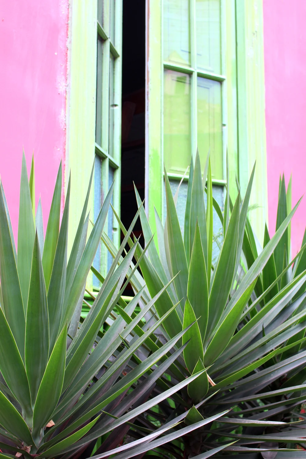 Palms and colourful windows in Miraflores in Lima, Peru - travel blog