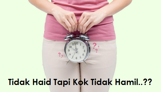 Tidak Haid Tapi Tidak Hamil Tidak Haid Tapi Tidak Hamil
