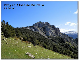 Siguenos en Facebook