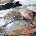 Semana do Pescado tem peixes frescos a preço popular em JP; veja programação
