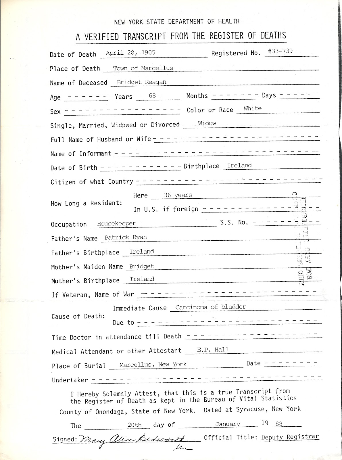 The Thomas Reagan and Margaret Sheehan Family Tree &hellip;