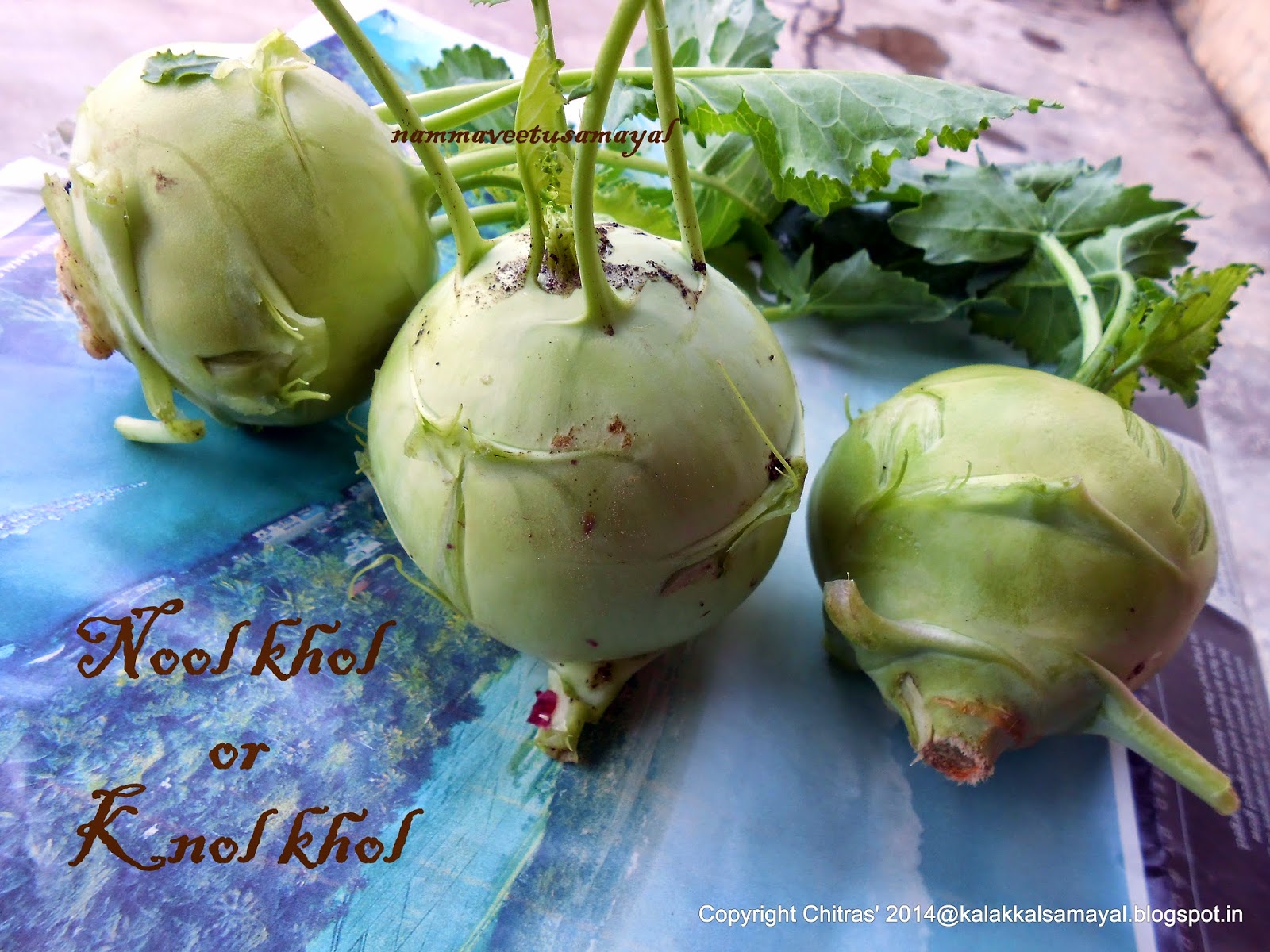 Nool khol or Knol khol Nool khol or Knol khol