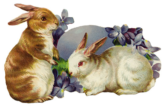 vintage rabbit clip art - photo #36
