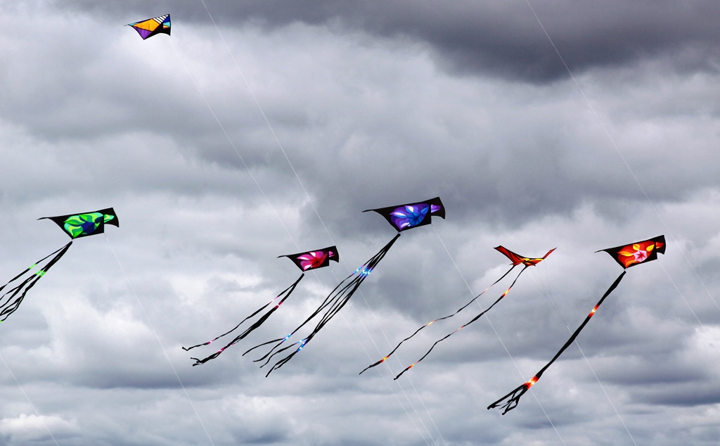 Tony's Photo Blog Semaphore kite Festival