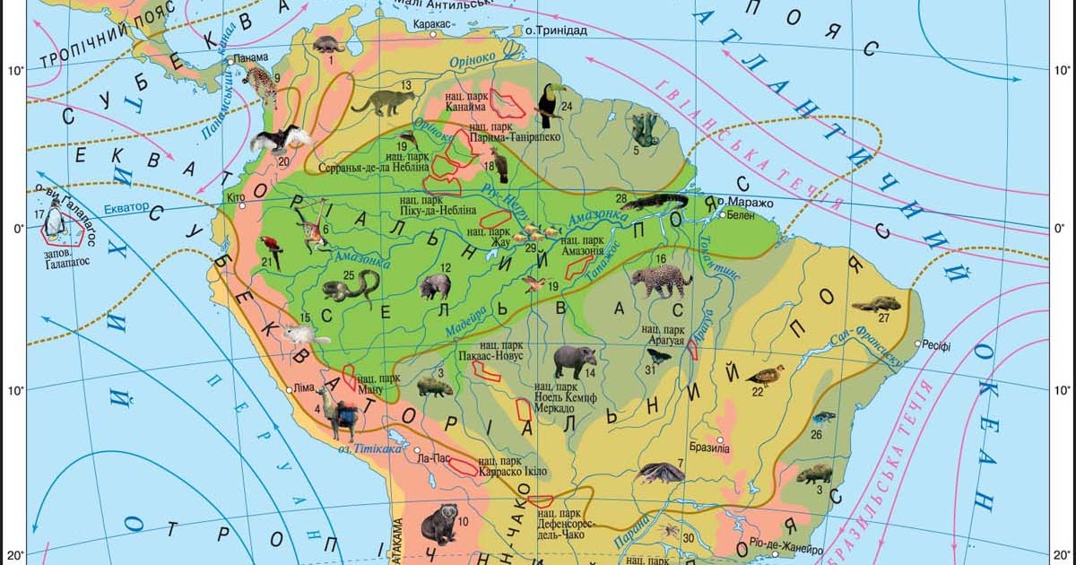Выберите природные зоны южной америки. Карта природных зон Южной Америки. Природные зоны Южной Америки. Основные природные зоны Южной Америки. Природные зоны Южной Америки 7 класс.