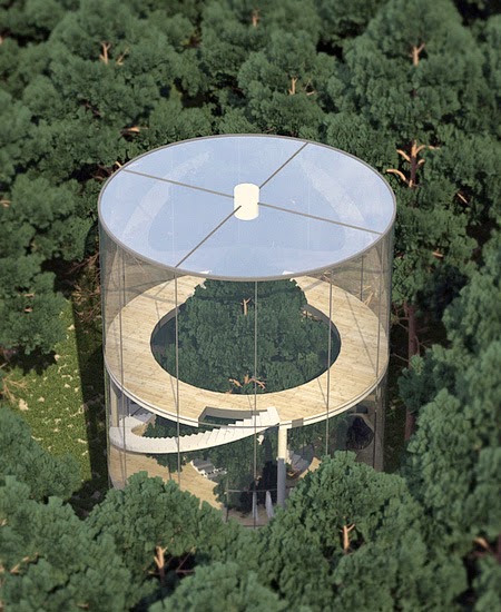 Glass House Tree
