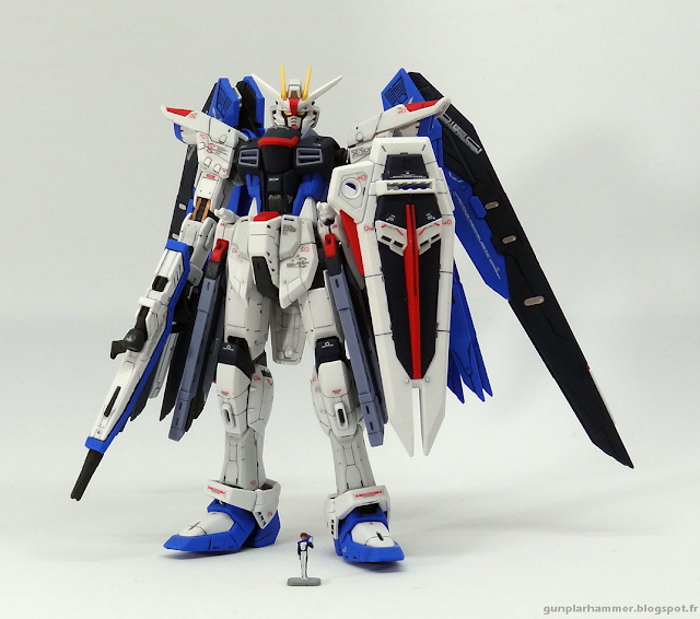 RG Real Grade Freedom Gundam  1/144 Kira Yamato ZGMF-X10A