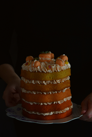 recetario-recetas-dulces-pomelo-grapefruit-toronja-cheesecake-layer-cake-bundt-biscocho-macarons-mermelada-donuts