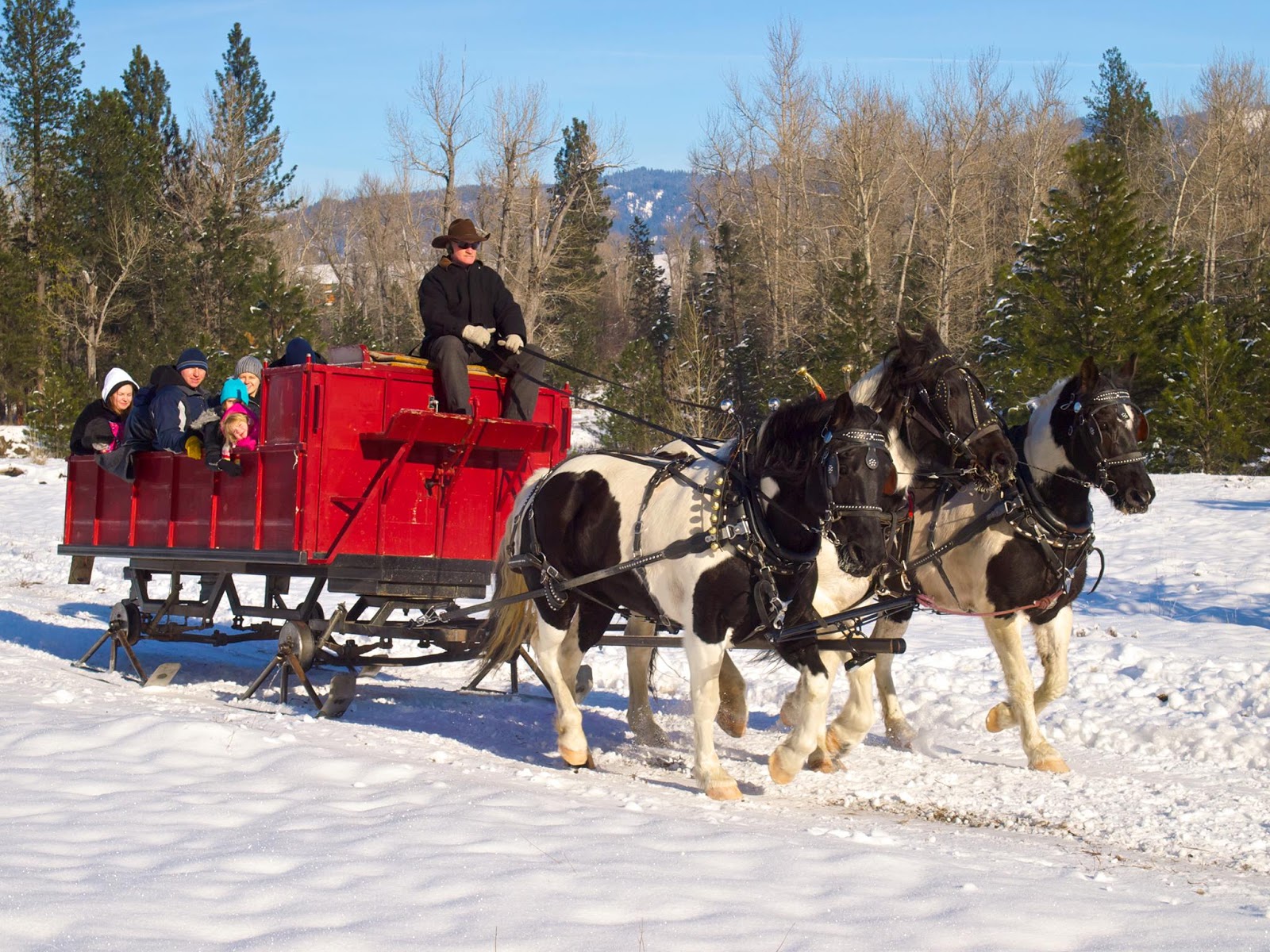 Stueby S Outdoor Journal Book An Idaho Sleigh Ride For Family Fun