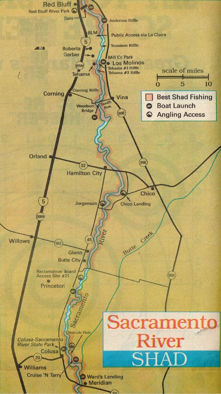 April 2020 Shad Fishing Report and Sacramento River Shad Fishing Map April 2020 Sacramento