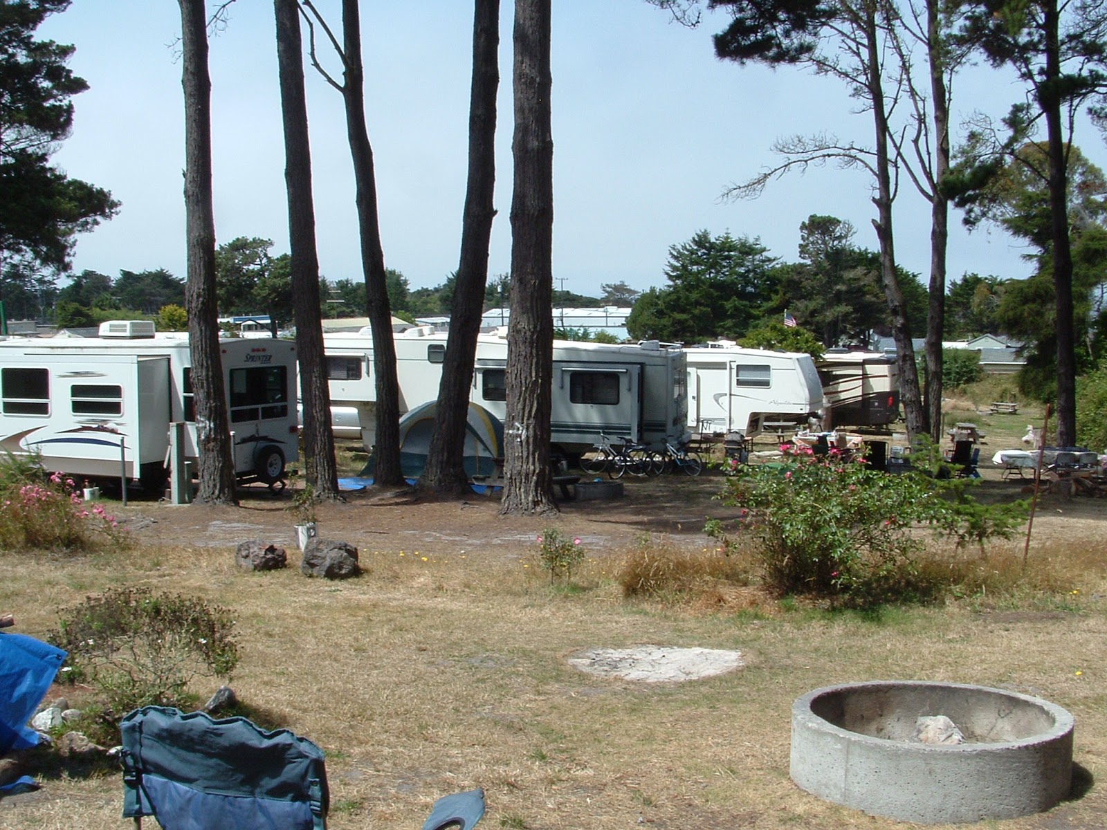 Hidden Pines RV Campground Fort Bragg California August 2013 RV