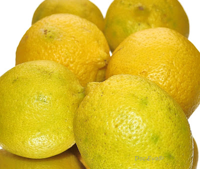 Zitronen Citrus × limon