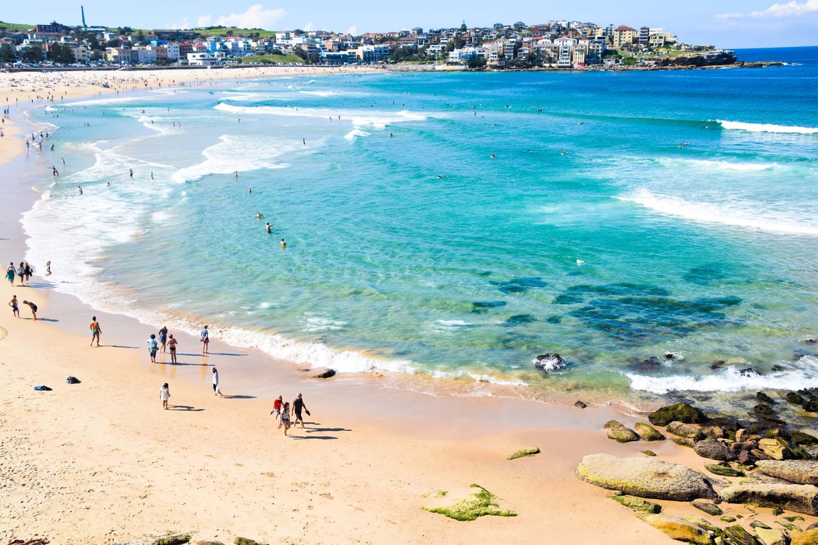 bondi beach