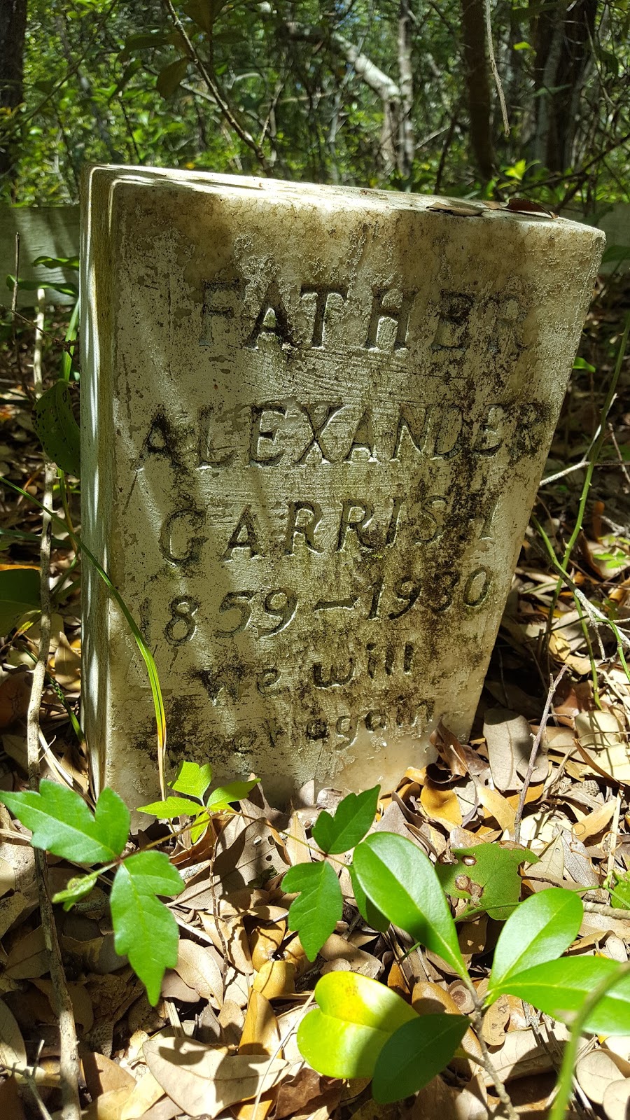 Ocracoke Island Journal Alex & Freener