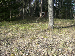 Morgonpromenad%2B%25288%2529 - Dagens morgonpromenad