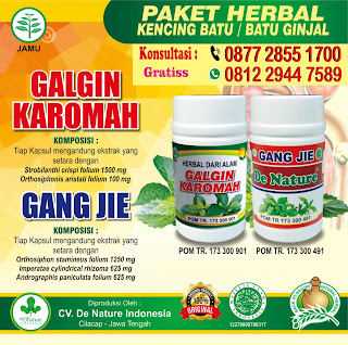 obat herbal kencing batu yang mujarab terbuat dari bahan herbal