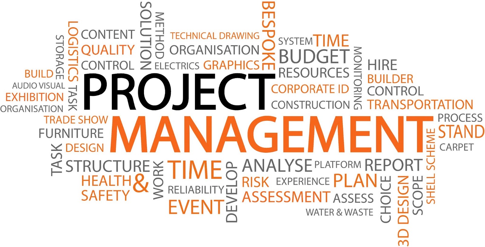 thesis on project management practices