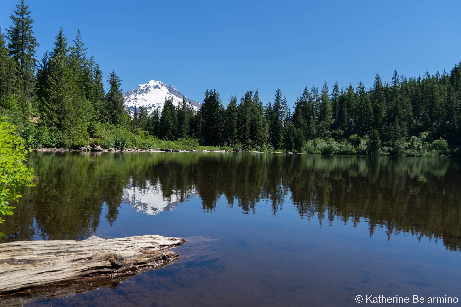 5 Great Hikes in Oregon’s Mt. Hood Territory Travel the World