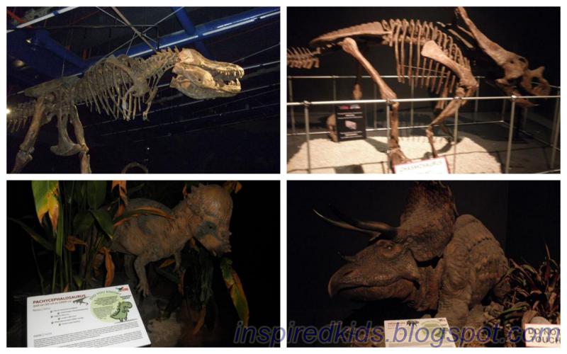 dinos alive expo