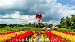 iBelayu Florist Agro Tourism di Margarana Tabanan Bali