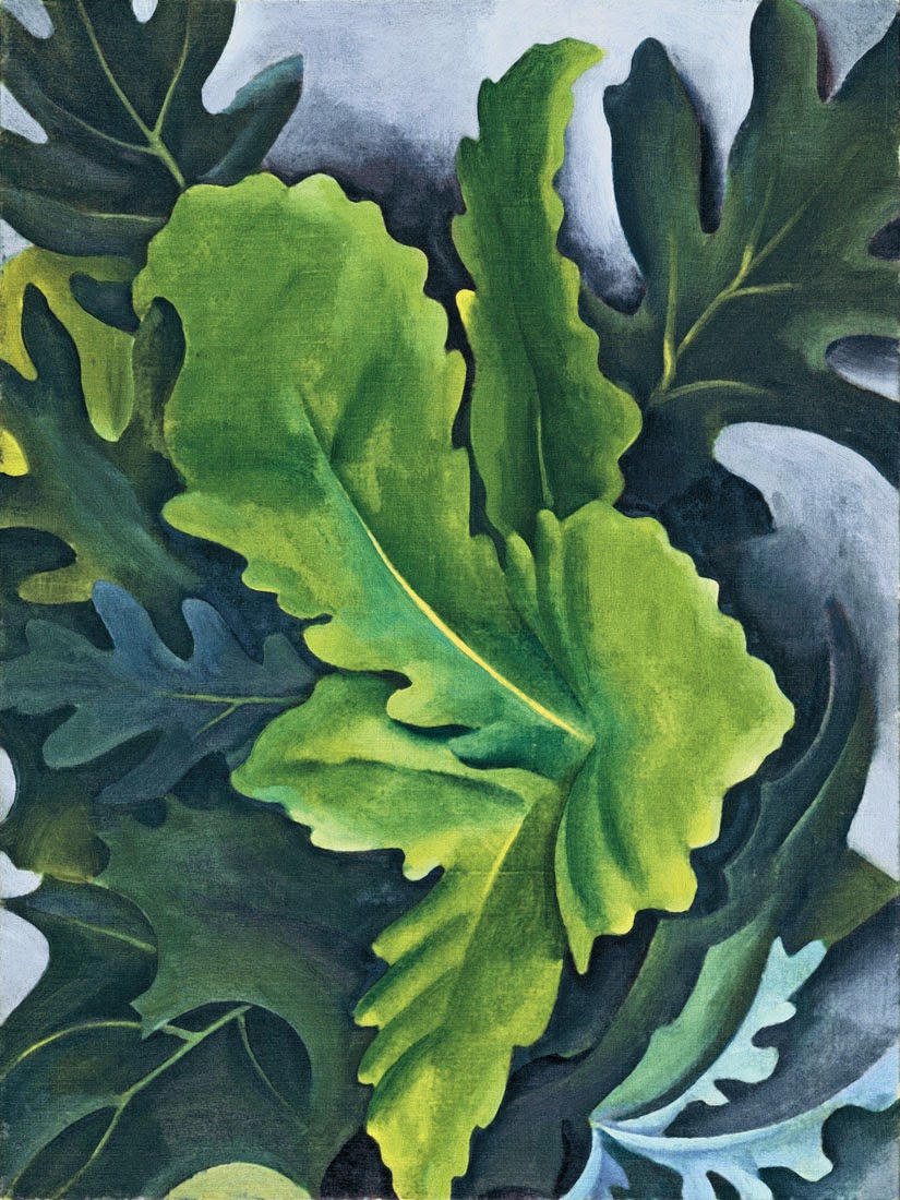 Pippa's Cabinet: Georgia O'Keeffe's Leaves and Fruit