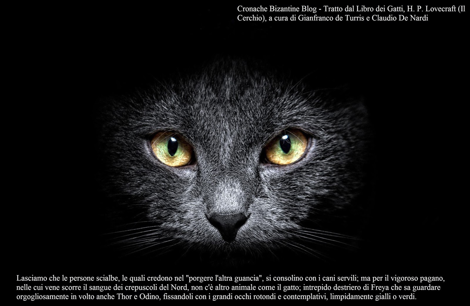 Cronache Bizantine Signori Dei Tetti Il Libro Dei Gatti Di