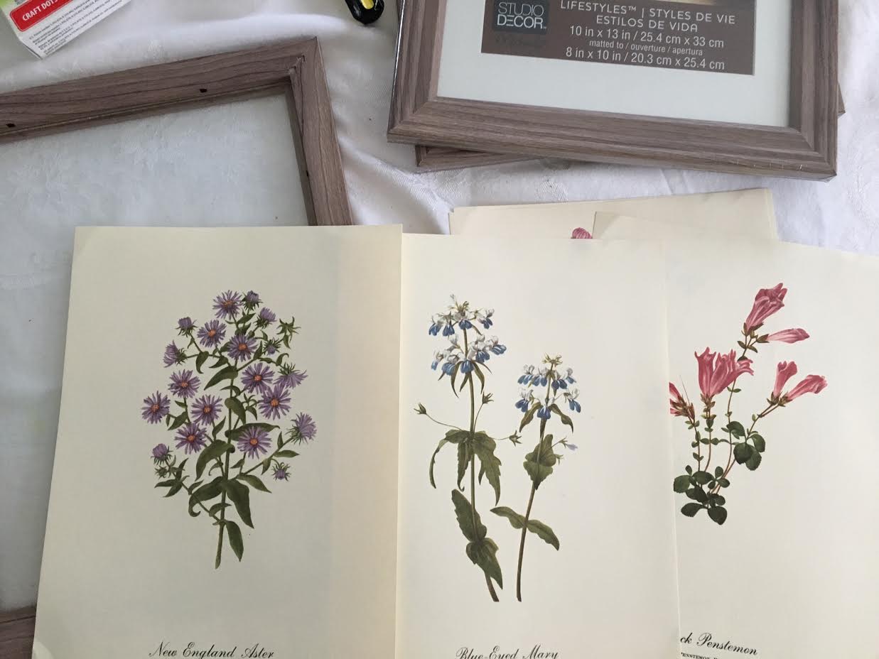 Maison Decor Create a Botanical Wall Grouping