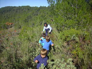 goterris DEL CANTAL A LA NEVERA DE CUATRO CAMINOS PELS PINARS DE