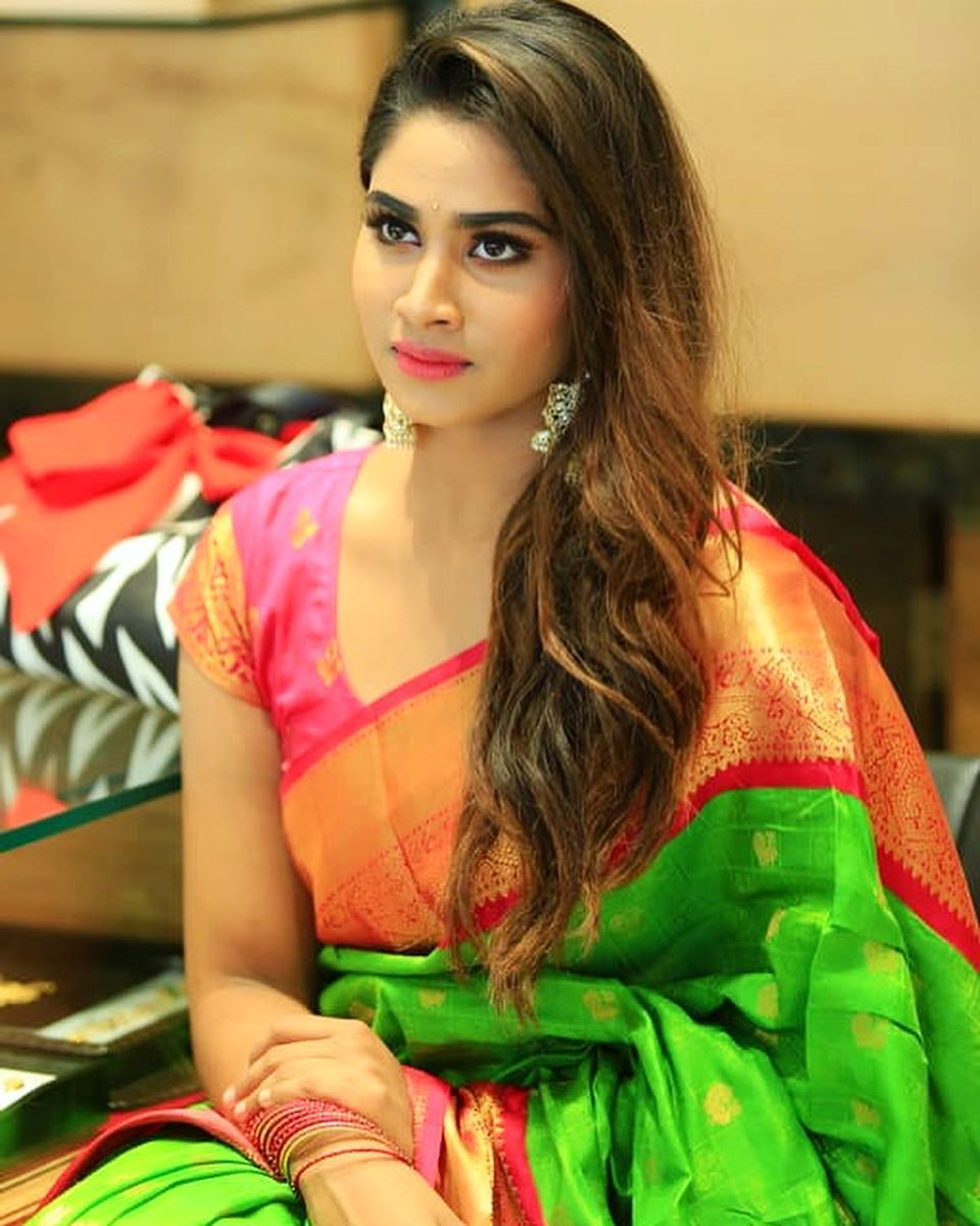Actress Shivani Narayanan In Traditional Silk Saree Pics | CineHub