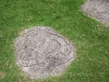 Practical Gardening How To Paint Garden Stepping Stones Practical Gardening How To Paint Garden Stepping Stones