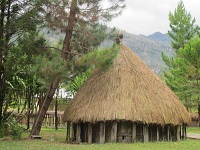 Rumah Adat di Indonesia Papua