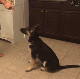 3.gif