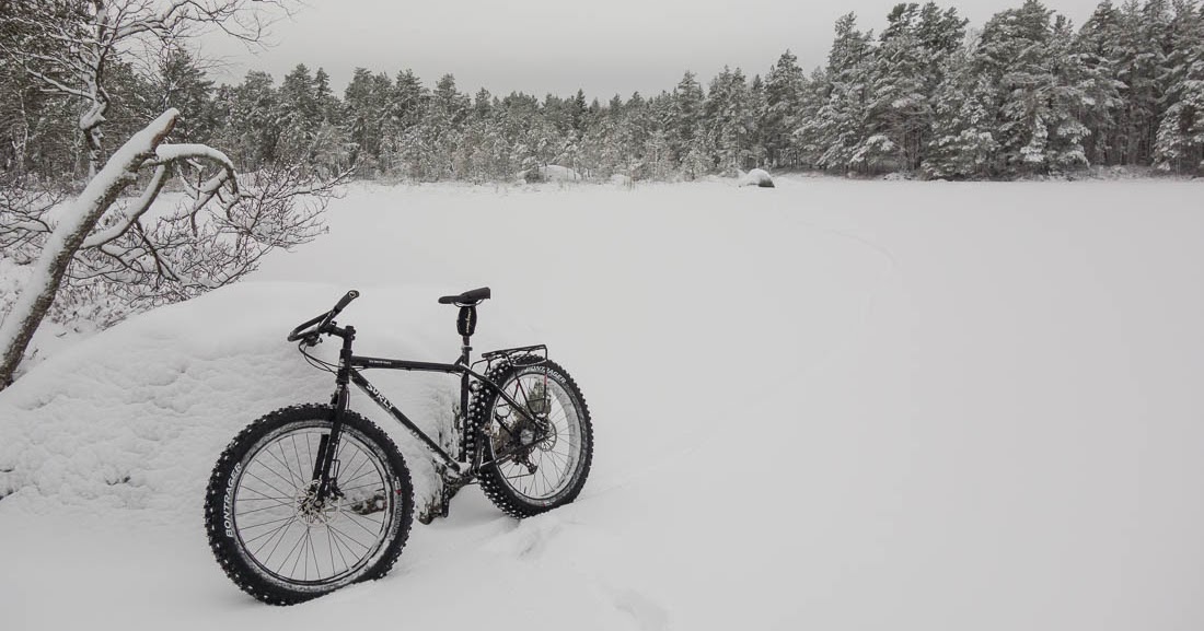 bontrager gnarwhal review