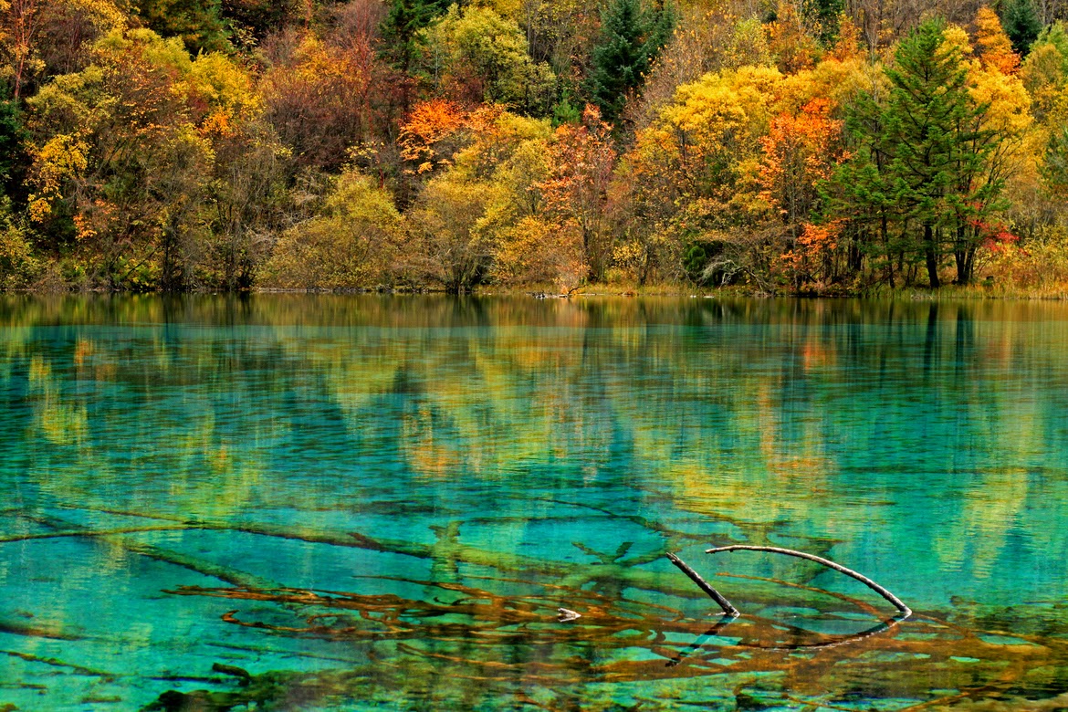 Descubre Tu Mundo El Precioso Y Colorido Lago De Las 5 Flores En China