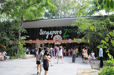Tempat Wisata di Singapura : tempatwisata.biz.id