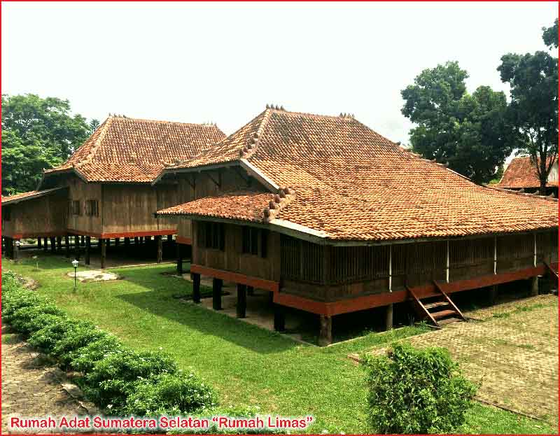 18+ Gambar Rumah Adat Provinsi Sumatera Selatan Adalah Images