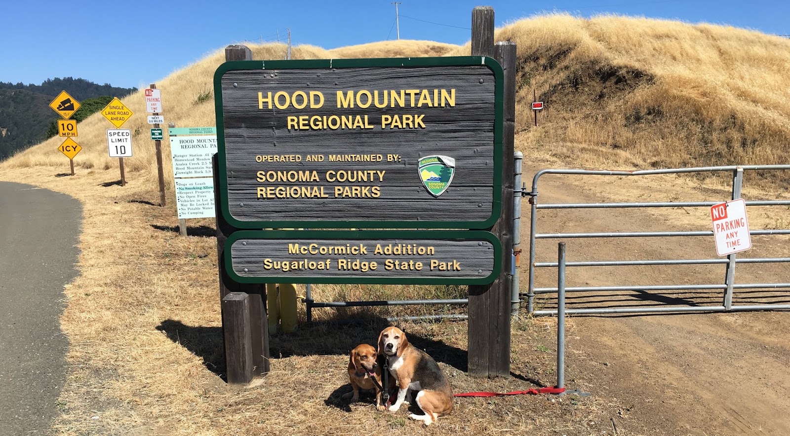 Hood Mountain Climbing Hiking Mountaineering Summitpost