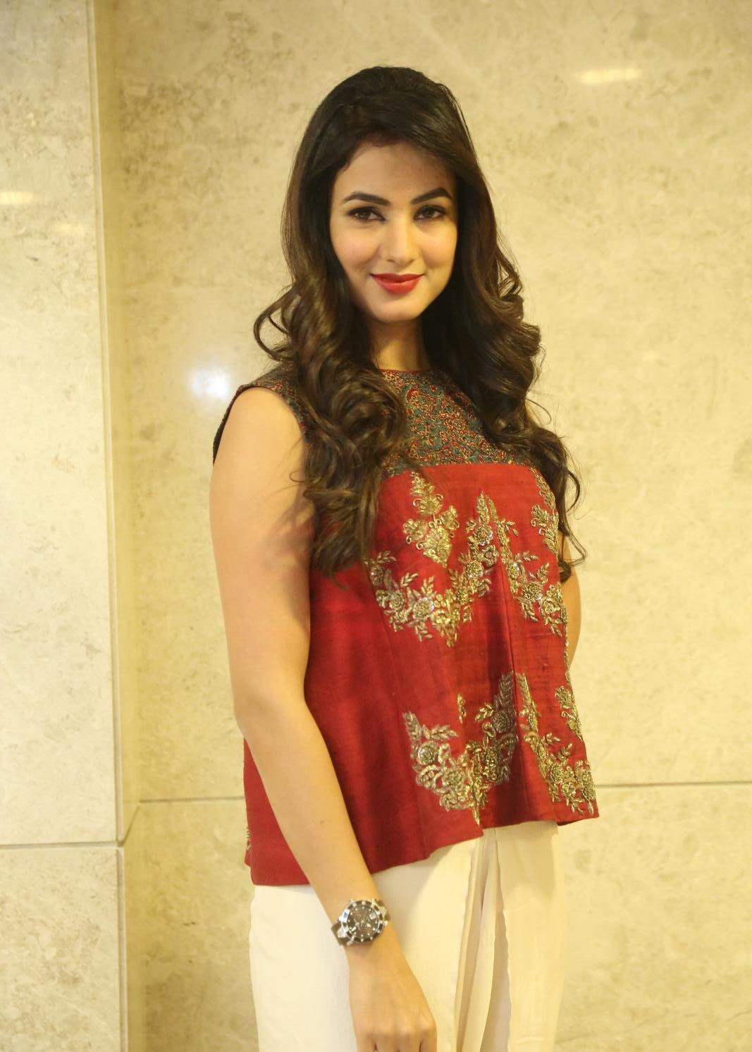 Sonal Chauhan Looks Gorgeous At Telugu Film â€œDictatorâ€ Success Meet In Hyderabad