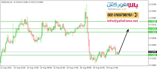    yallaforex.net  NZDUSDH1.png