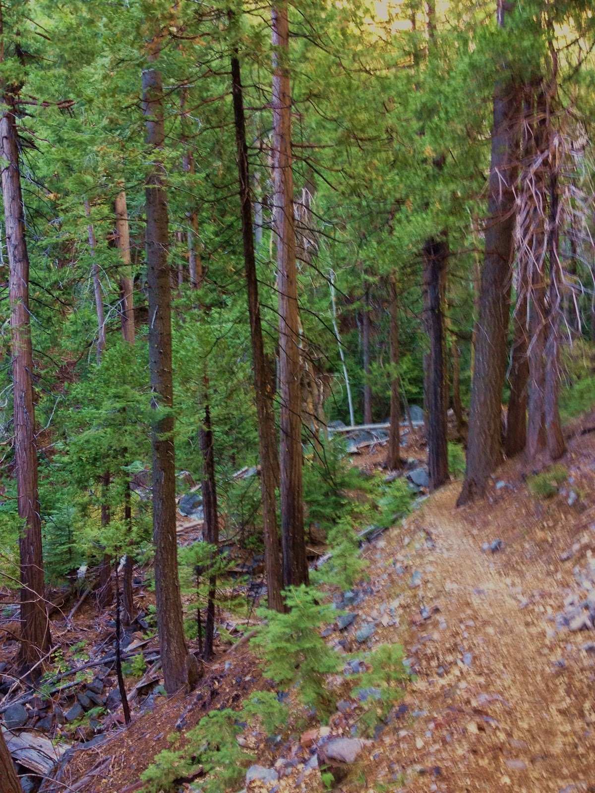 Peachy Hiker: Pioneer Trail ~ Spaulding Lake / Grouse Ridge Trails 10 ...